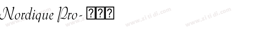 Nordique Pro字体转换